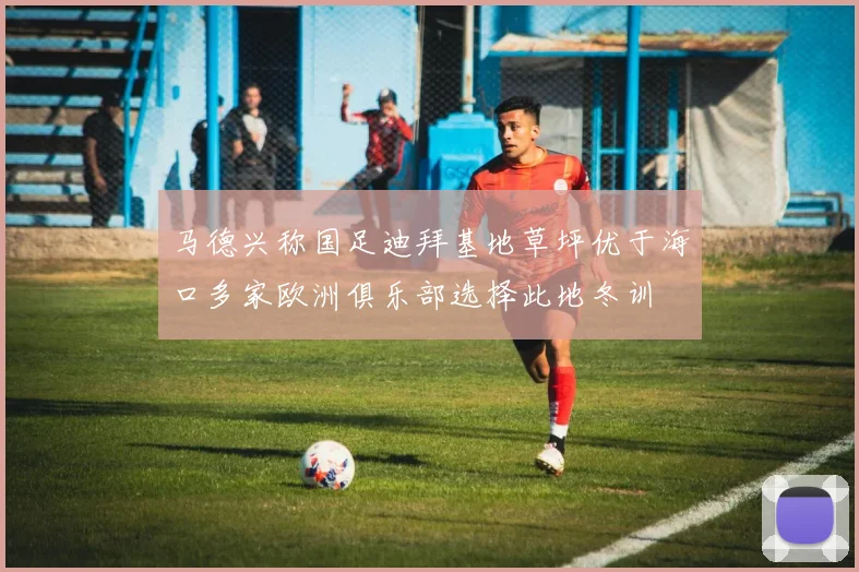 马德兴称国足迪拜基地草坪优于海口多家欧洲俱乐部选择此地冬训